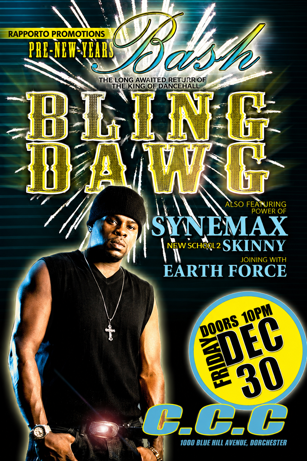 BLING DAWG — PRE-NEW YEAR'S BASH flyer