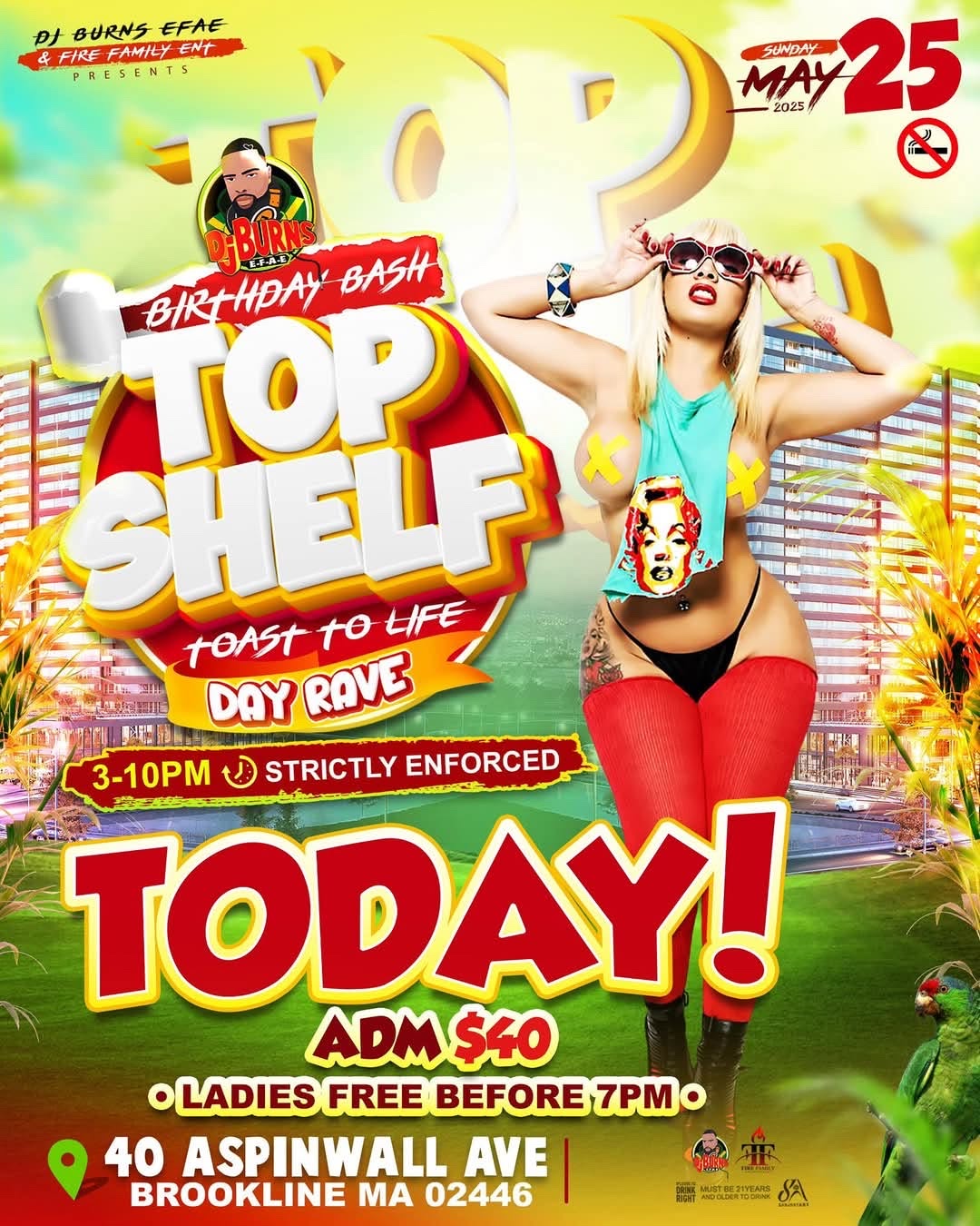 TOP SHELF — TOAST TO LIFE DAY RAVE, DJ BURNS BIRTHDAY BASH flyer